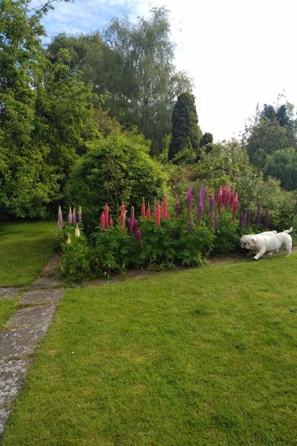 Twenty Bed and Breakfast Skellingthorpe Buitenkant foto