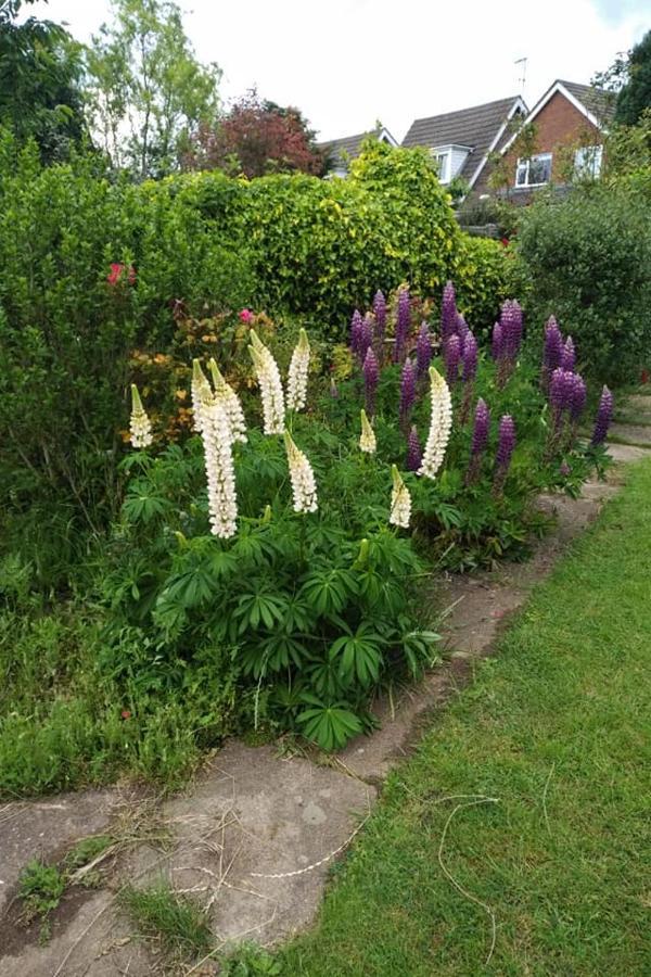 Twenty Bed and Breakfast Skellingthorpe Buitenkant foto